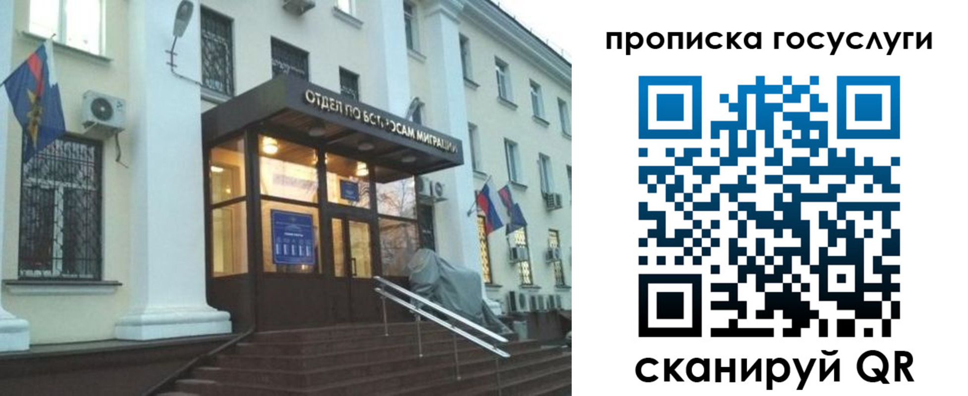 прописка для школы в Владимирской области