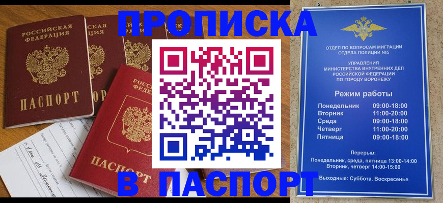 пропишу в квартире в Владимирской области